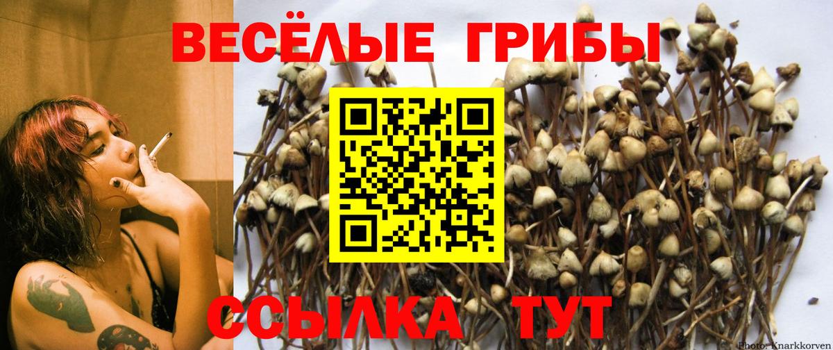 Галлюциногенные грибы ЛСД Дубна